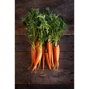 Organic   Red Carrot